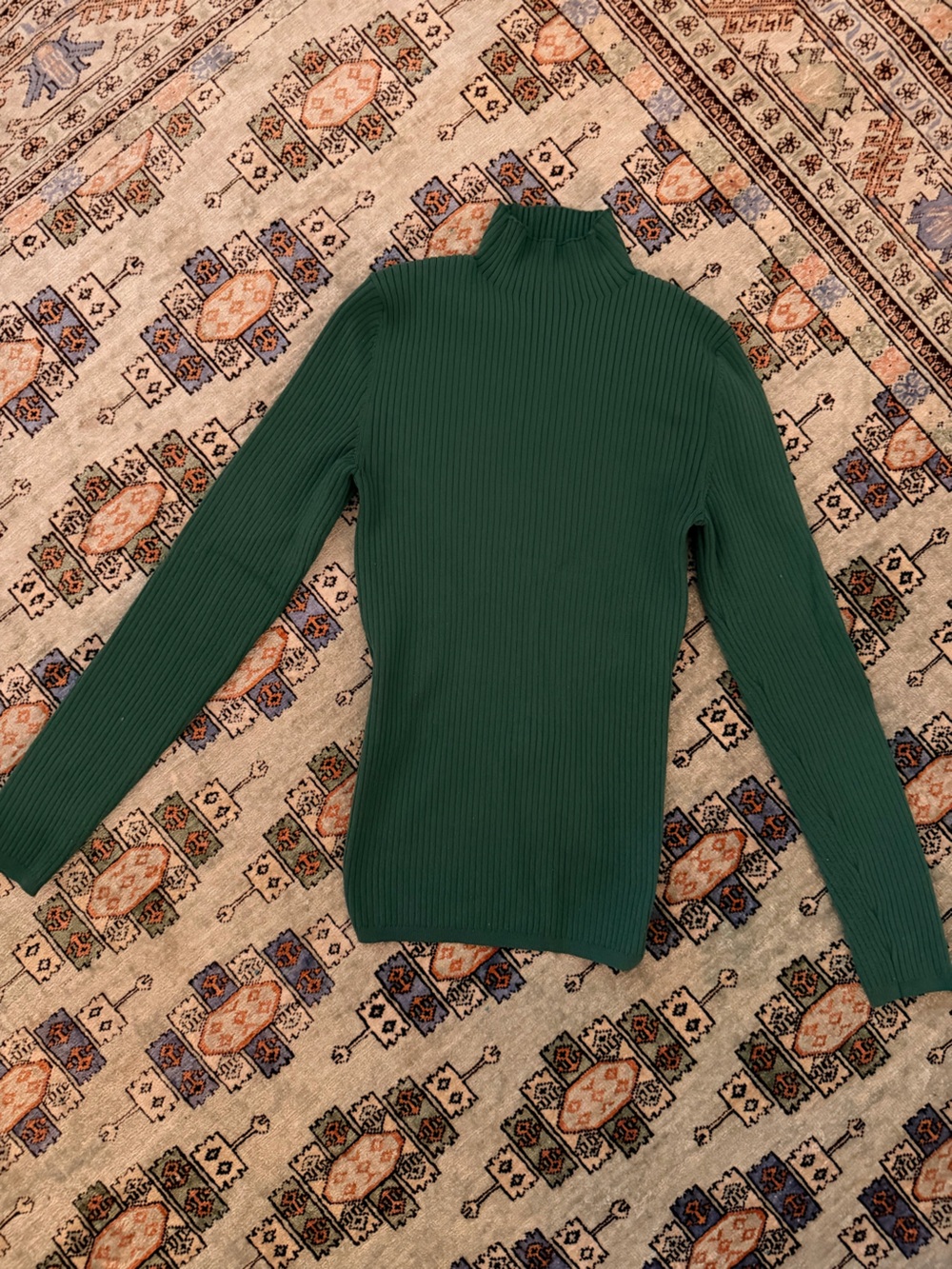 Aritzia Deep Green Ribbed Crew Sweater